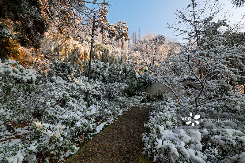 浙江省湖州市德清县莫干山风景区芦花荡公园雪后日出图片素材