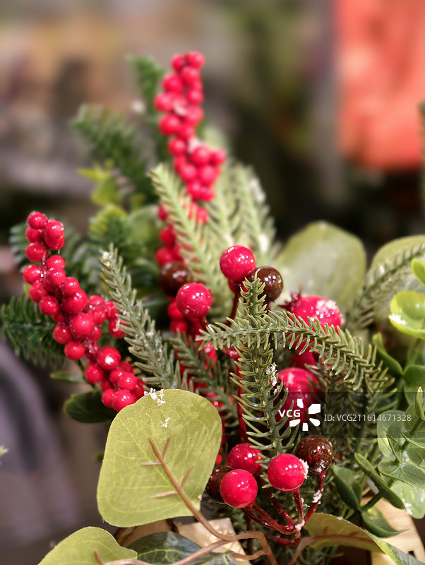 温馨木质小屋：冬青浆果与松枝，营造自然系节日氛围图片素材