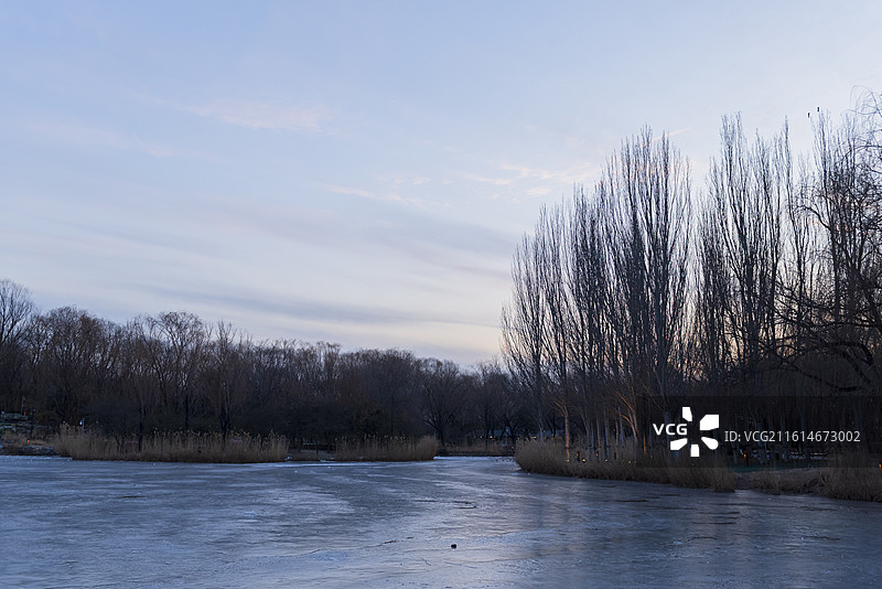 海淀公园冬天的风景 结冰的湖面图片素材