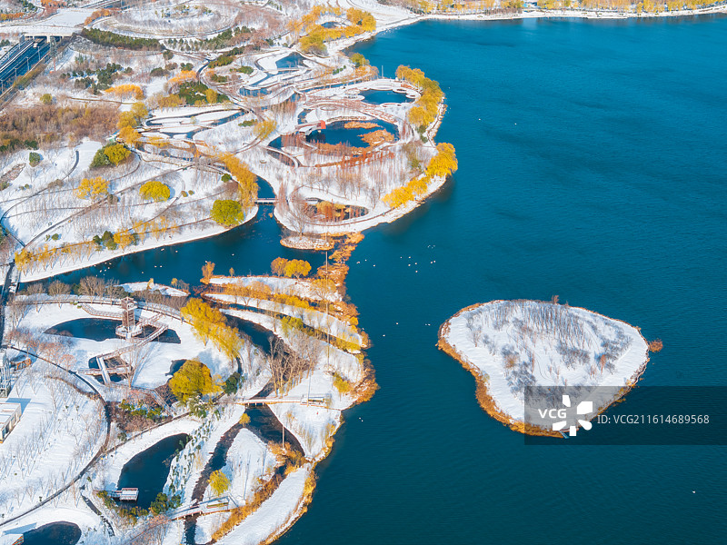 河南，郑州市，郑东新区CBD，郑州国家森林公园，北龙湖湿地公园，城市冬景，湿地浮岛，疣鼻天鹅保护区图片素材