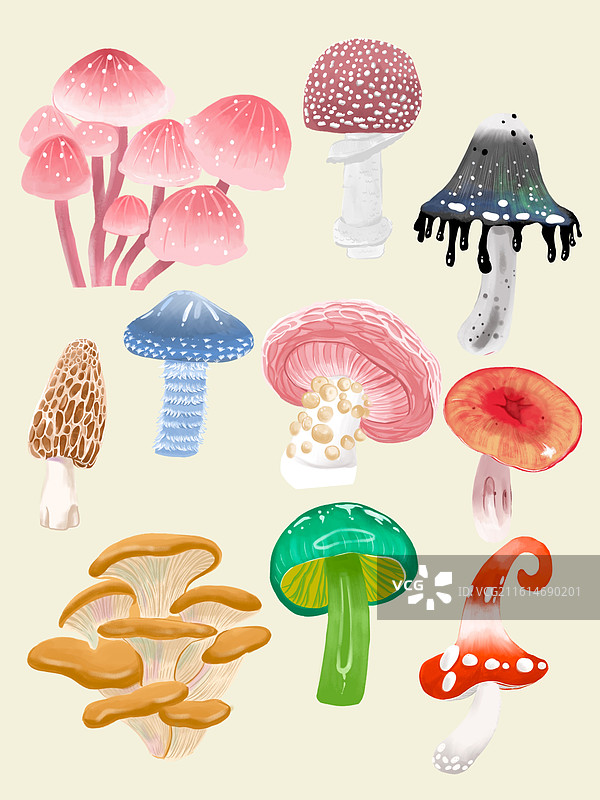 蘑菇集合图片素材