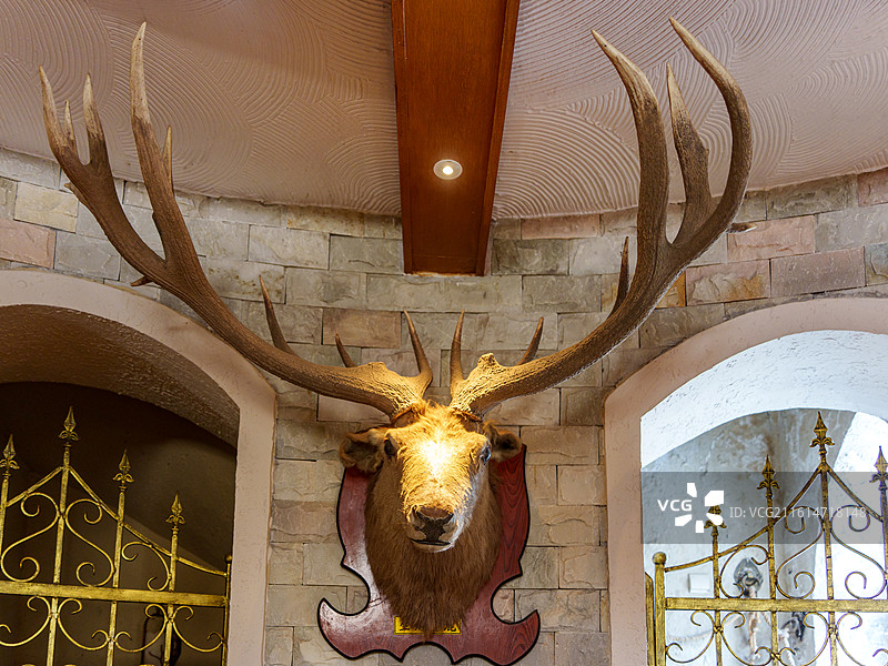东北黑龙江哈尔滨伏尔加庄园的伏特加城堡内，鹿头标本挂石墙，金纹铁艺拱门衬出俄式复古野性感图片素材