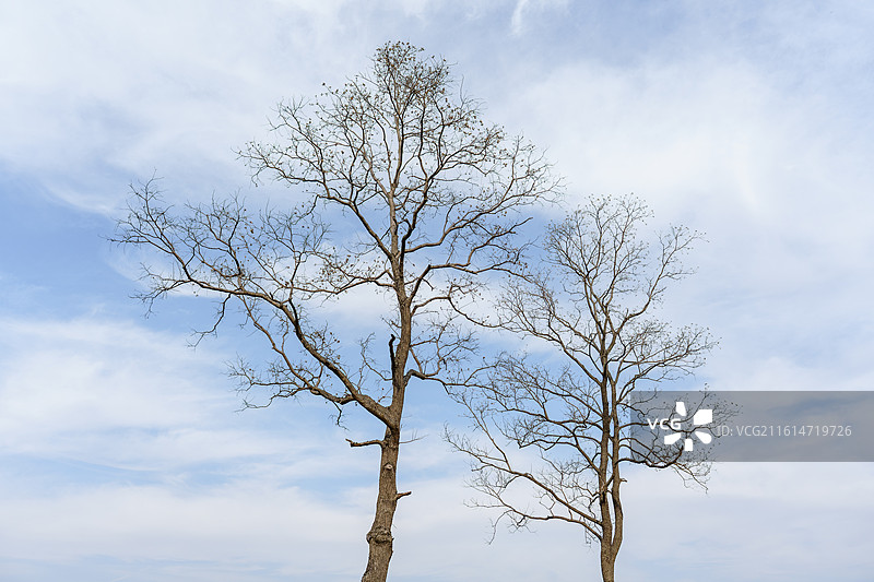 宁波杭州湾观塘公园图片素材