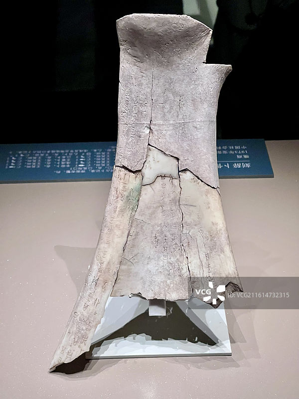 河南安阳殷墟博物馆镇馆之宝刻辞卜骨图片素材