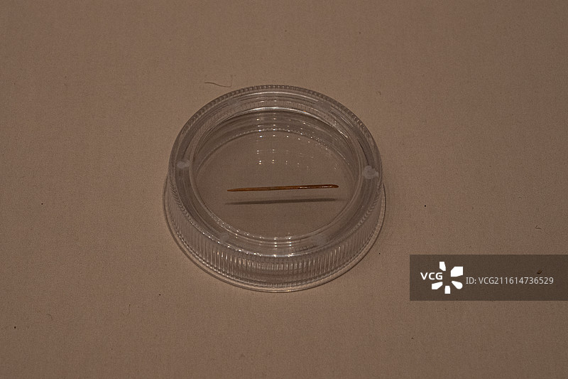 早期铁器时代 骨针 1984年且末县扎滚鲁克古墓群出土 巴音郭楞文博院图片素材