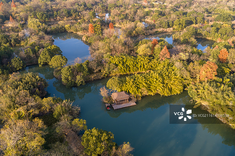 杭州西溪湿地秋景图片素材