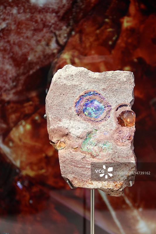 上海L'ÉCOLE珠宝艺术中心矿石奇珍展览展品图片素材