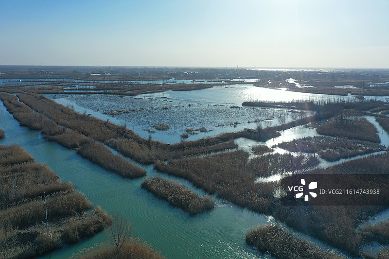 碧水连天映霞光，野鸭掠舞芦花黄  俯身临岸观舟远，银杏红叶风里扬  千岛万湖织洋淀，生态画卷韵悠长图片素材