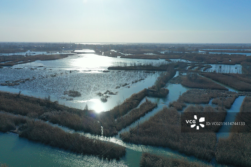 碧水连天映霞光，野鸭掠舞芦花黄  俯身临岸观舟远，银杏红叶风里扬  千岛万湖织洋淀，生态画卷韵悠长图片素材