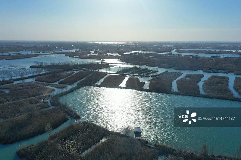 碧水连天映霞光，野鸭掠舞芦花黄  俯身临岸观舟远，银杏红叶风里扬  千岛万湖织洋淀，生态画卷韵悠长图片素材