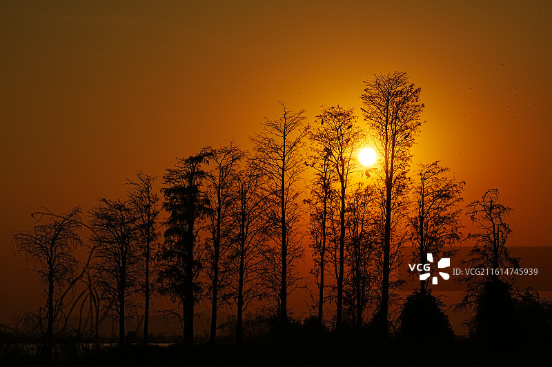 珠海灯笼沙图片素材