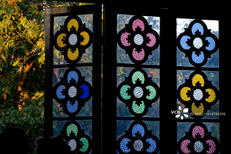 狮子林 腊梅 窗景 盆景图片素材