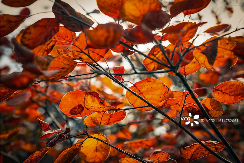 北京坡峰岭图片素材