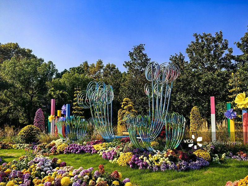 上海共青森林公园菊花展美景图片素材