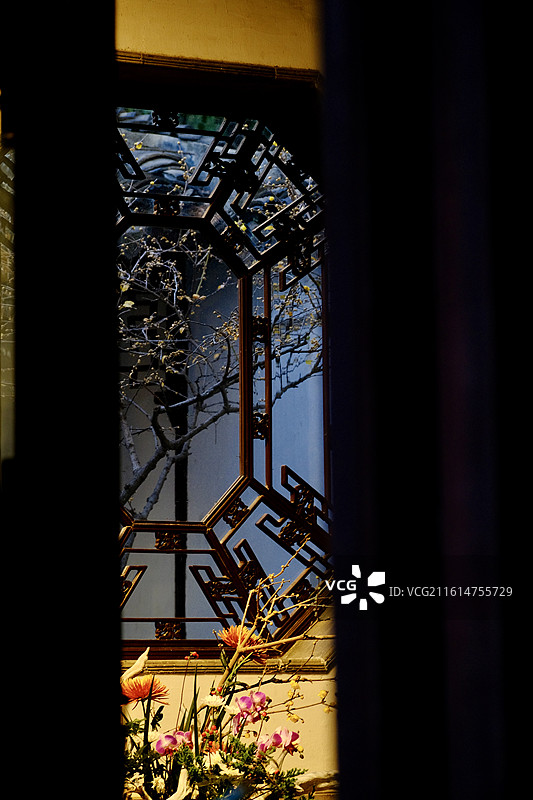 狮子林 腊梅 窗景 盆景图片素材