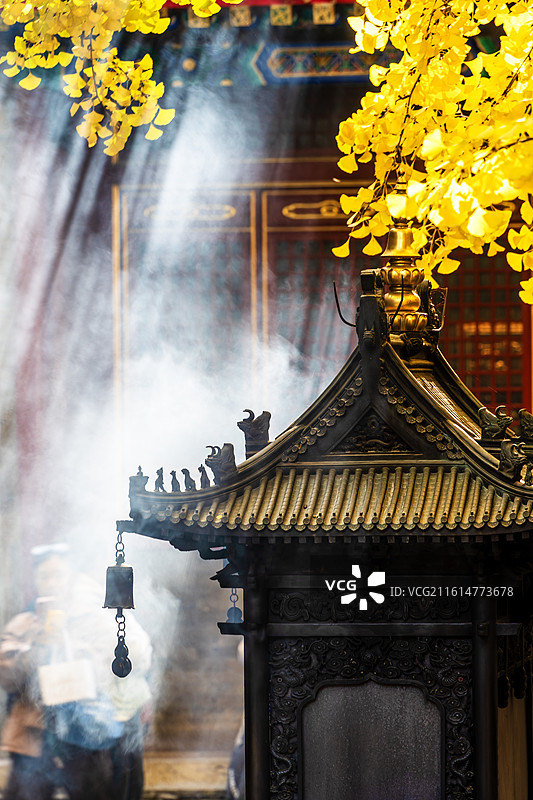 北京八大处公园秋天银杏图片素材