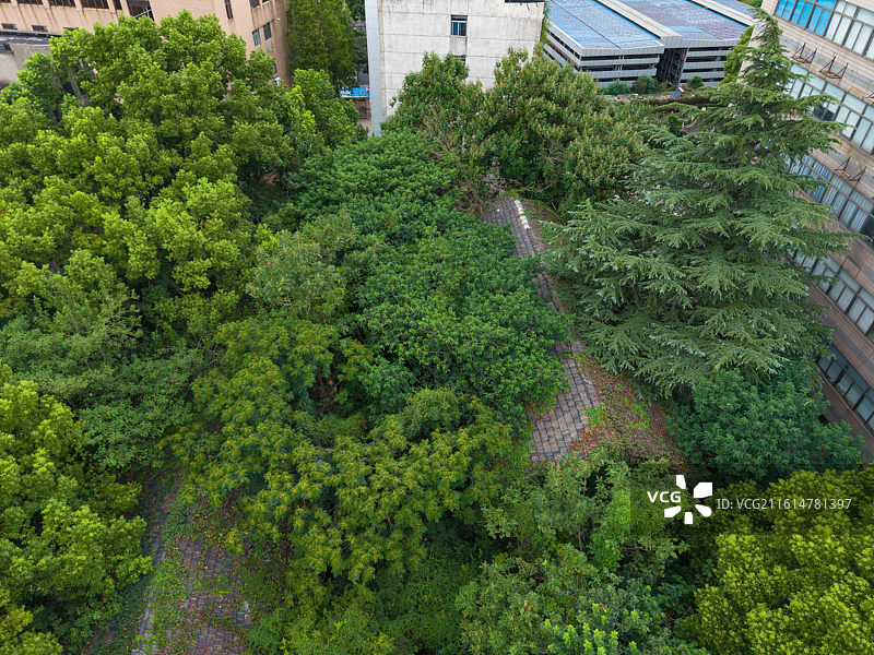 江苏省镇江市，京口区，梦溪园，城市航拍图片素材