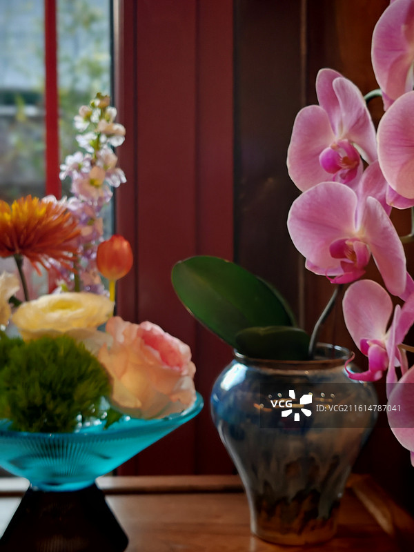 鲜花的插花艺术图片素材