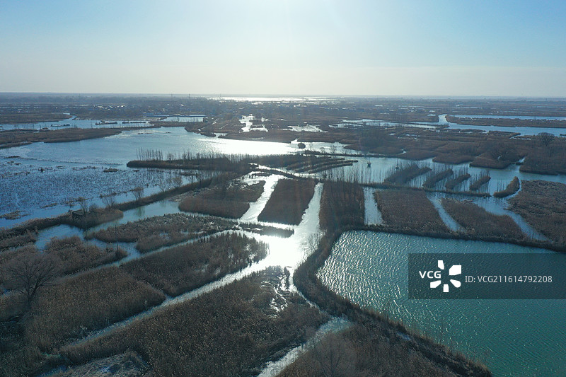 碧水连天映霞光，野鸭掠舞芦花黄  俯身临岸观舟远，银杏红叶风里扬  千岛万湖织洋淀，生态画卷韵悠长图片素材
