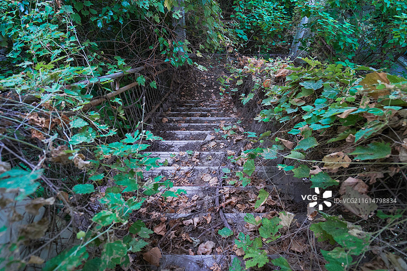 江苏省镇江市，荒废的学校图片素材
