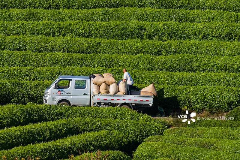 无人,高山,风景,天空,地形,自然美,自然,4K分辨率,云,户外,宁静,白昼,环境,树,旅行,绿色,图片素材
