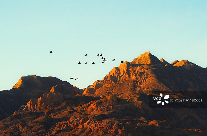 日照金山和鸟图片素材