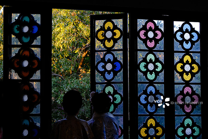 狮子林 腊梅 窗景 盆景图片素材