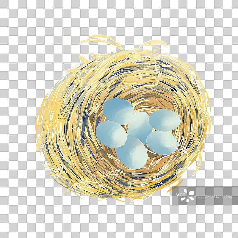 一个鸟窝鸟巢鸟蛋爱鸟护鸟保护动物手绘插画图片素材