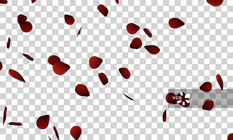 花瓣飘落元素图片素材