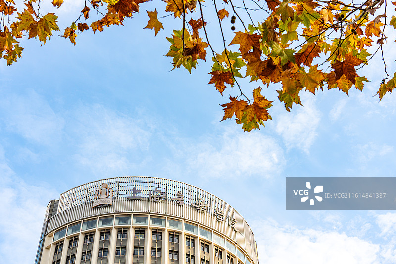 蓝天微云黄叶背景下的上海音乐学院汾阳路校区教学楼标识特写镜头图片素材