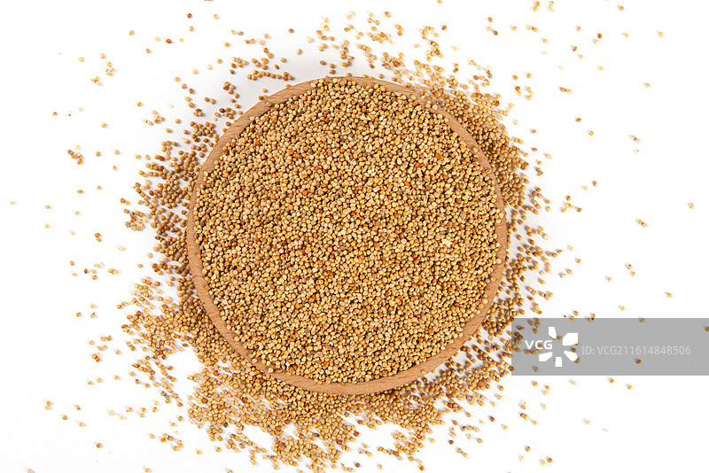 白底上未去皮的谷子小米图片素材