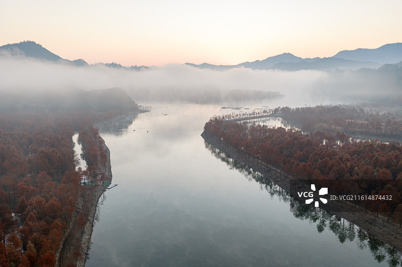 皖南地区宣城市宁国落羽杉湿地公园乡村日出晨雾云海风光图片素材