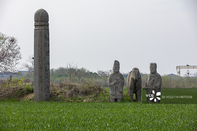 河南省巩义市，北宋皇陵永熙后陵石像生，全国重点文物保护单位，春天的小麦图片素材