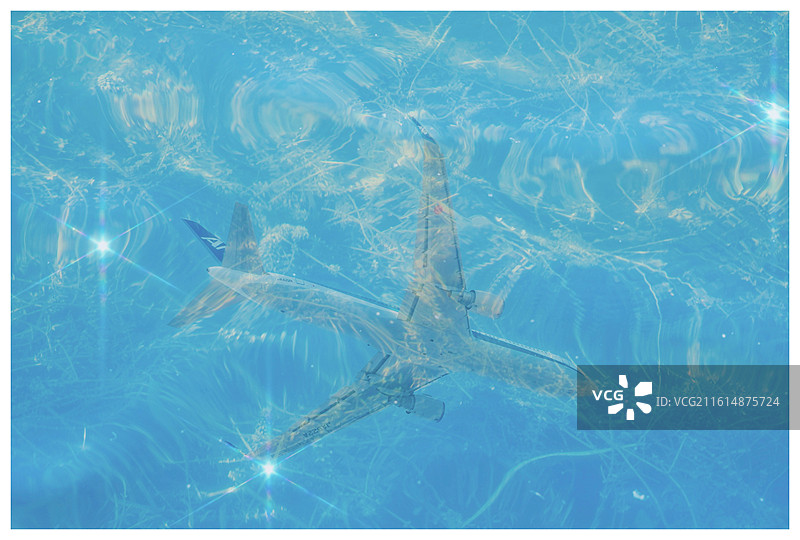 当飞机落入水草中图片素材