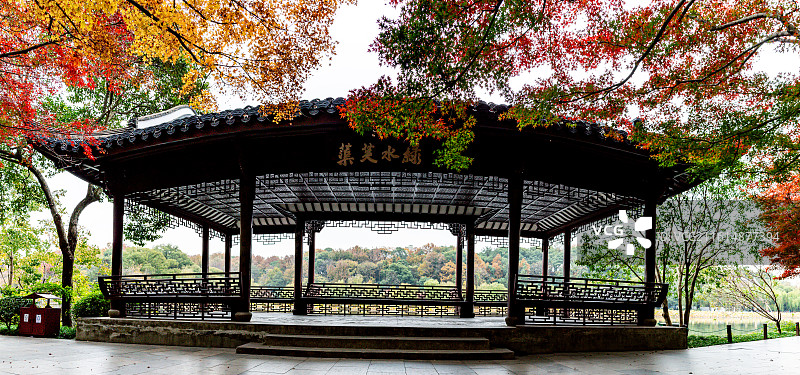 浙江杭州西湖北山街绿水芙蕖亭枫叶红枫全景特写景观图片素材
