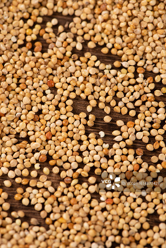 未去皮的谷子小米特写图片素材