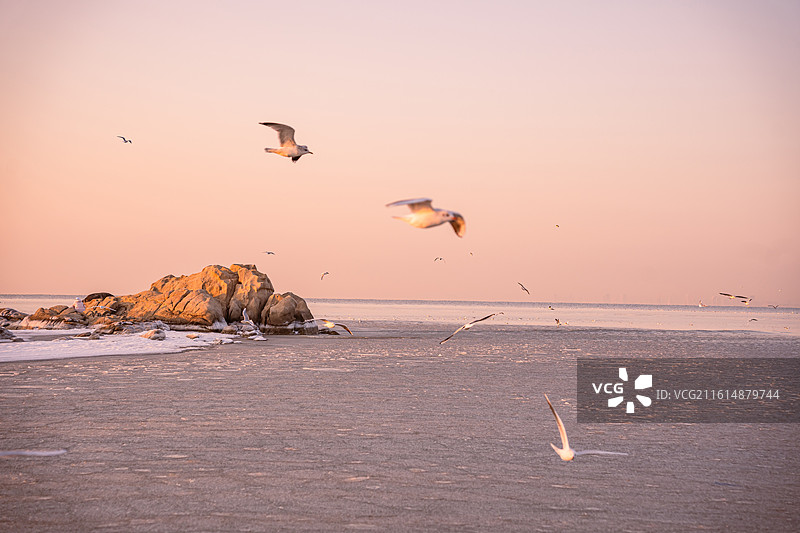 中国秦皇岛老虎石海上公园冬天海岸线图片素材