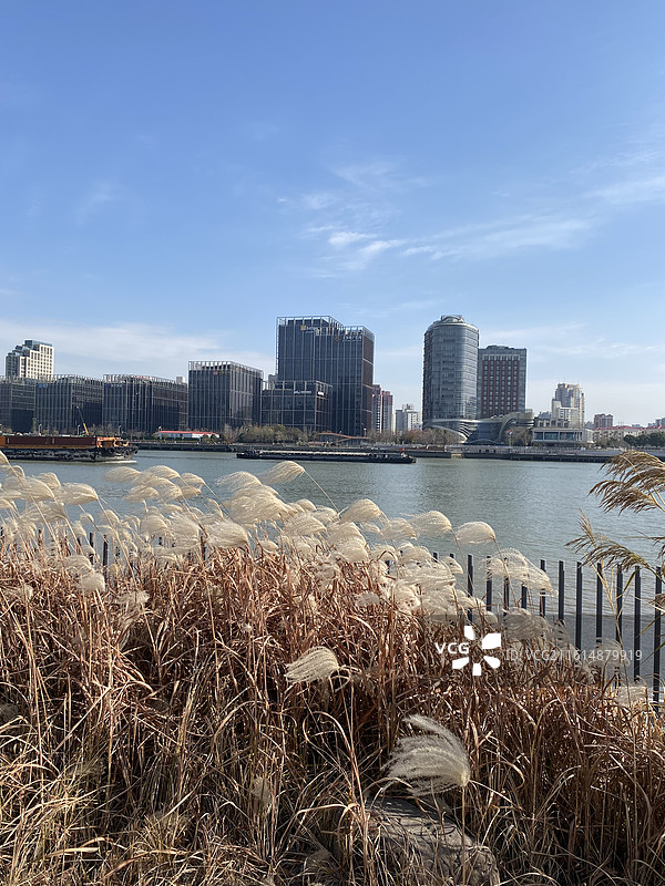 黄浦滨江冬天的景色图片素材