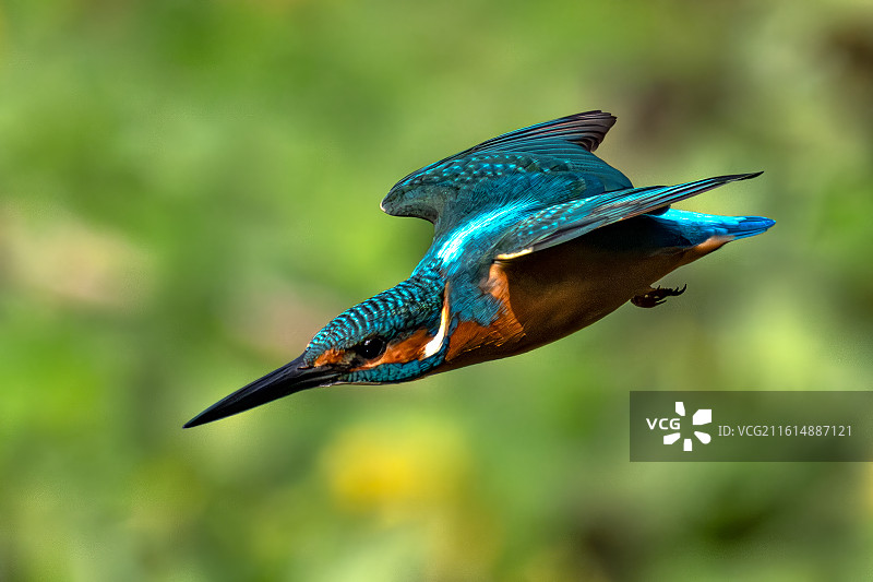 脱弦之箭图片素材