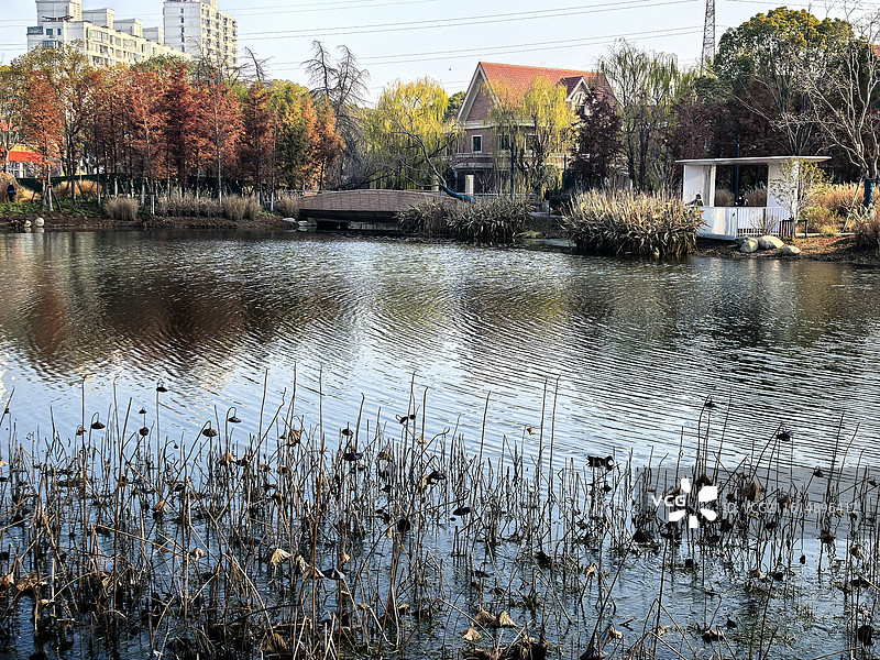 冬季的上海名人苑公园图片素材