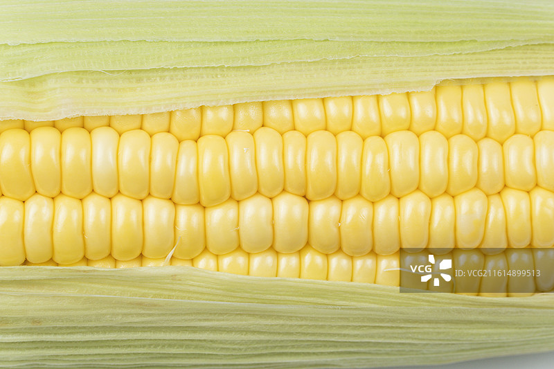 蔬菜静物摄影——清甜的水果玉米图片素材