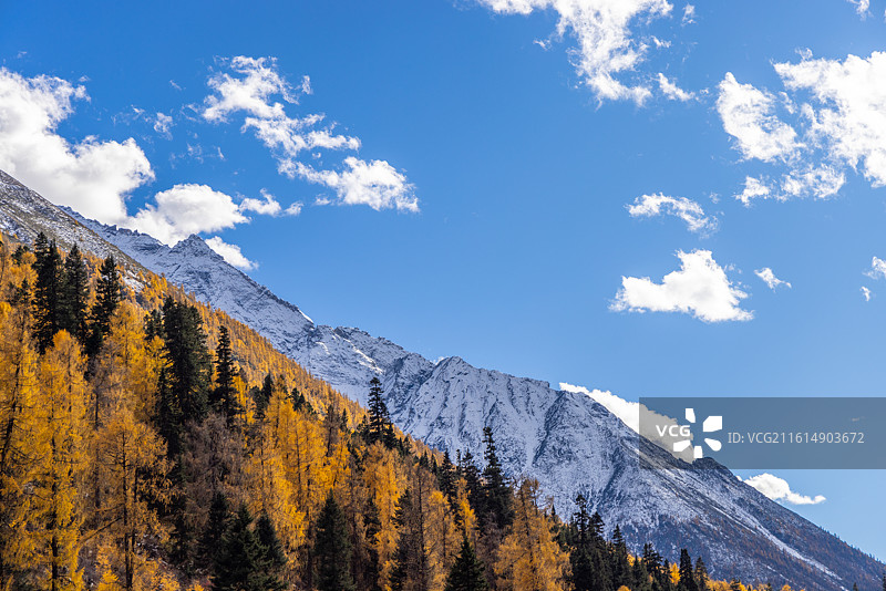 四川阿坝理小路大二普营地雪山秋景风光图片素材