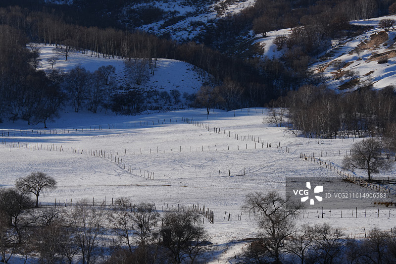 乌兰布统 金蟾湖 风景区 摄影机基地 雪景图片素材