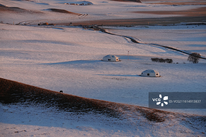 乌兰布统 雪地 清晨 蒙古包 马 牧场图片素材