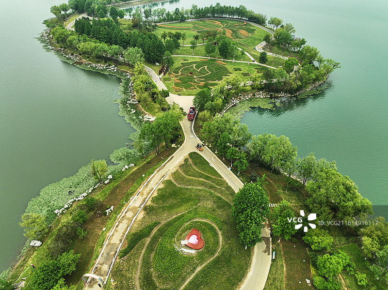 西双湖国家湿地公园百合园图片素材