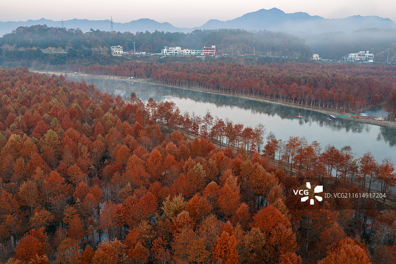 皖南地区宣城市宁国落羽杉湿地公园乡村日出晨雾云海风光图片素材