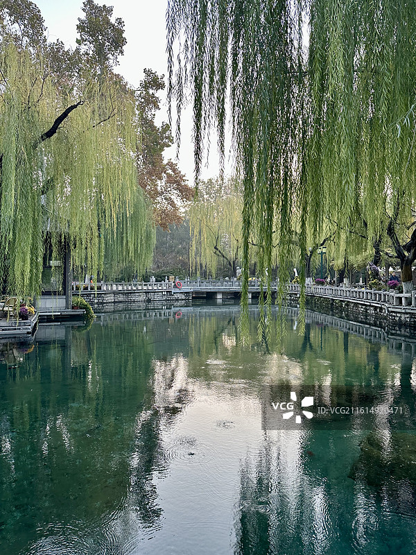 济南趵突泉公园自然风景图片素材
