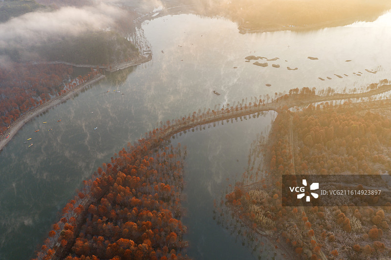 皖南地区宣城市宁国落羽杉湿地公园乡村日出晨雾云海风光图片素材