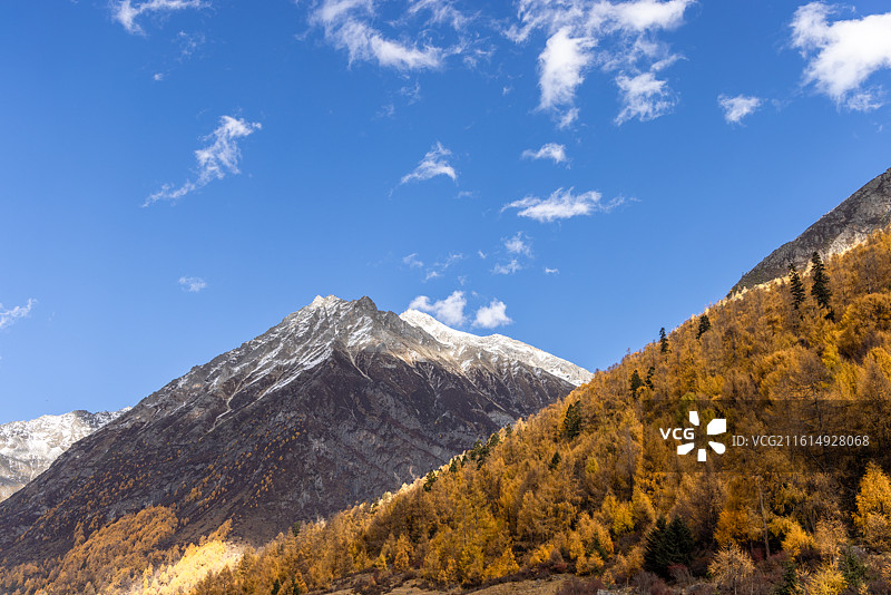 四川阿坝理小路大二普营地雪山秋景风光图片素材