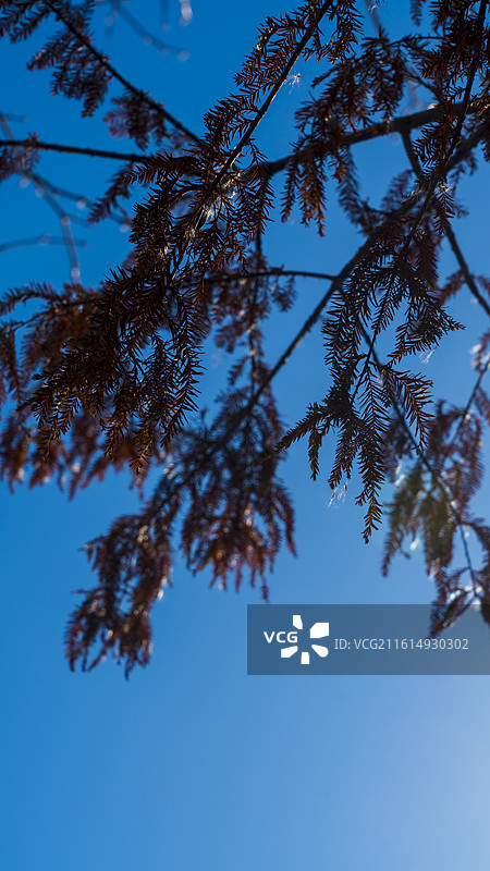 运河边制造业船舶工厂秋冬季的色彩特写图片素材